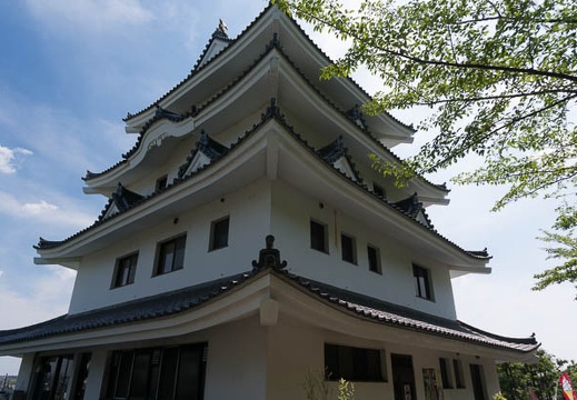 201406151411-DSC05723N6.jpg