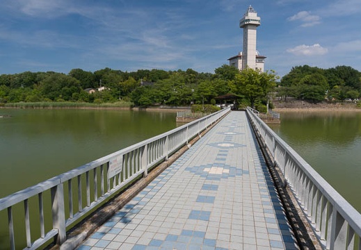 201406151433-DSC05747N6.jpg