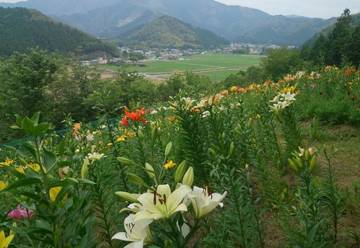 20140616094303-SO-01F.jpg