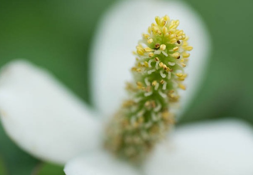 201406161036-DSC05487.jpg