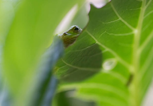 201406161048-DSC05505.jpg