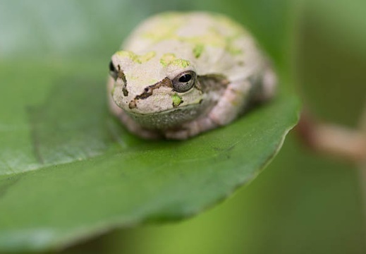 201406161057-DSC05561.jpg