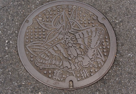 201406161202-DSC05835N6.jpg