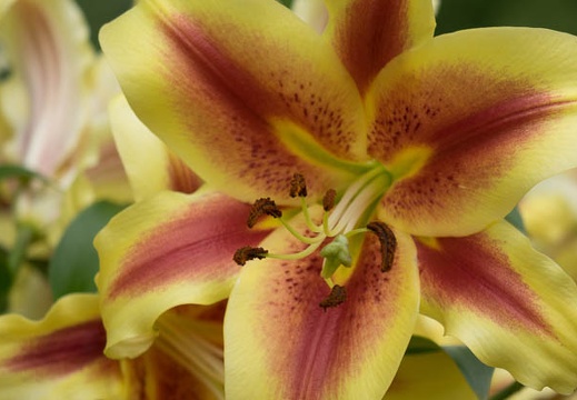201406171011-DSC02571R10.jpg