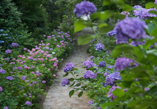 201406260702-DSC06780.jpg