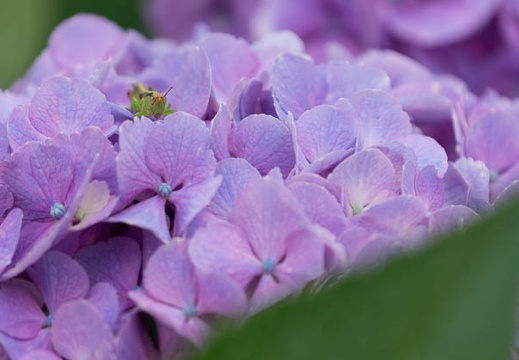201406261003-DSC07035.jpg
