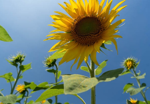 201407011108-DSC06350N6.jpg