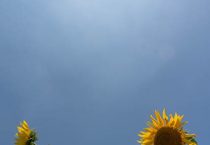 201407011153-DSC06432N6.jpg