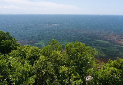 201407011235-DSC06453N6.jpg