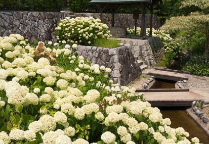 201407021146-DSC06566N6.jpg