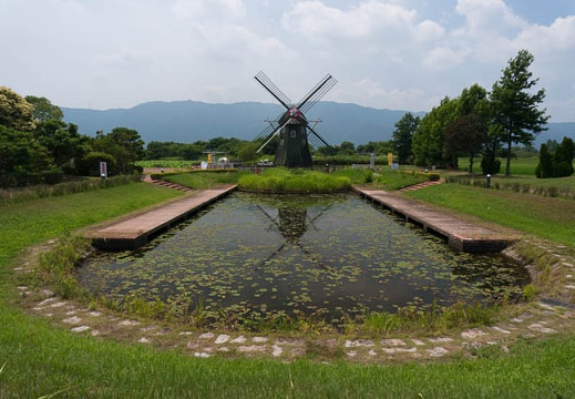 201407021245-DSC06586N6.jpg