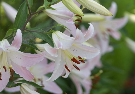 201407021402-DSC07842.jpg