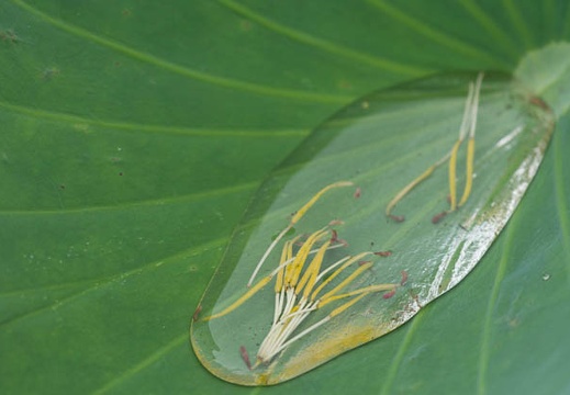 201407060808-DSC07907.jpg