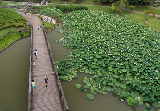 201407060912-DSC06785N6.jpg