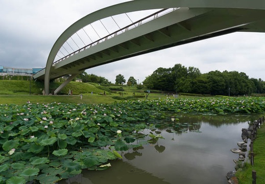 201407060920-DSC06795N6.jpg