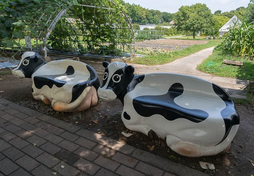 201407080941-DSC06838N6.jpg