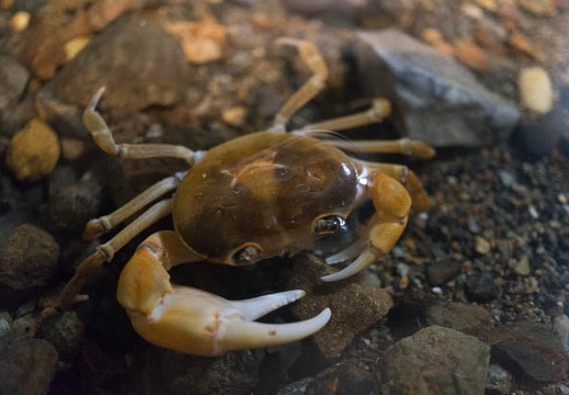 201407091304-DSC06934N6.jpg
