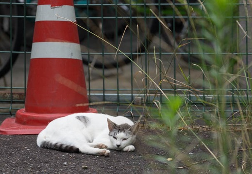 201407191357-DSC09227.jpg