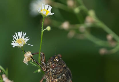 201407200552-DSC09250.jpg