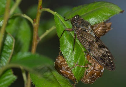 201407200558-DSC09255.jpg