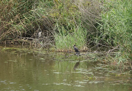 201407201144-DSC09329.jpg