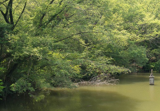 201407201231-DSC07117N6.jpg