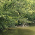 201407201231-DSC07117N6.jpg