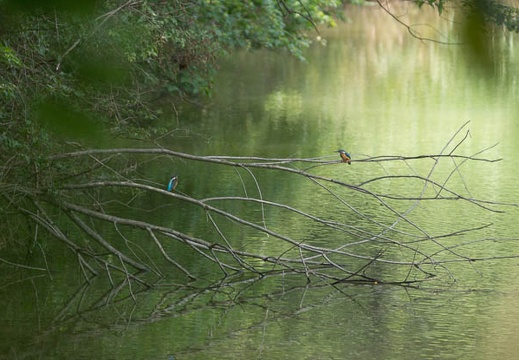 201407201258-DSC09383.jpg