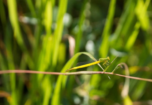 201407201315-DSC09406.jpg