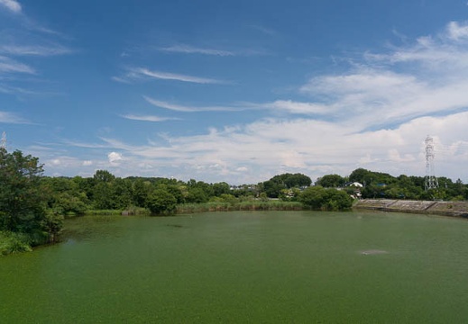 201407201346-DSC07124N6.jpg