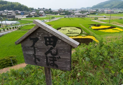 201407221050-DSC07138N6.jpg