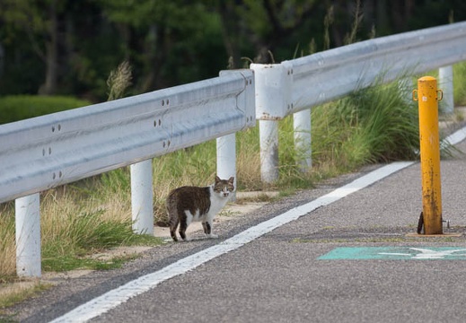 201407221424-DSC09472.jpg