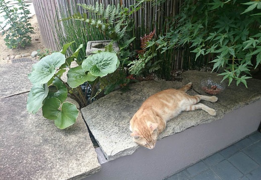 20140723090031-SO-01F.jpg