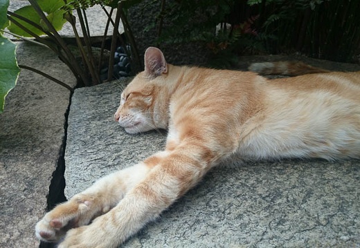20140723090041-SO-01F.jpg