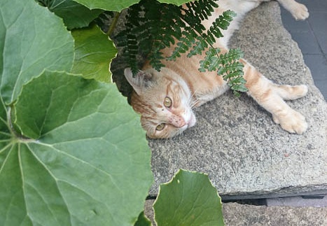 20140723090356-SO-01F.jpg