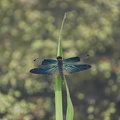 201407241024-DSC09563.jpg