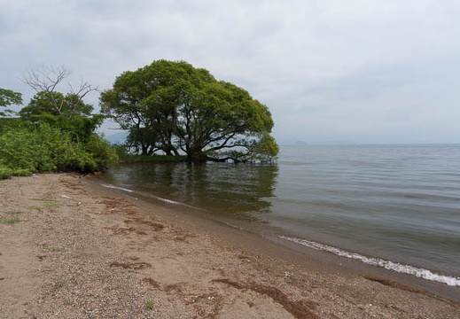 201407241046-DSC07239N6.jpg