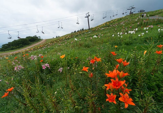 201407241213-DSC07313N6.jpg