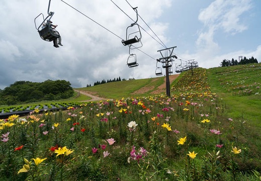 201407241219-DSC07327N6.jpg