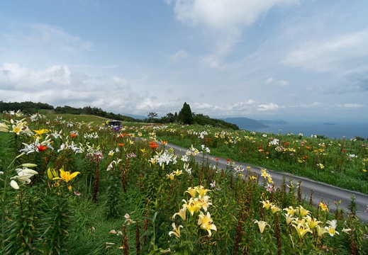 201407241322-DSC07386N6.jpg