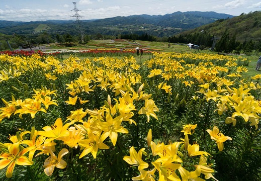 201407281008-DSC07911N6.jpg