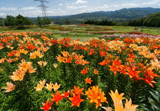 201407281044-DSC07959N6.jpg