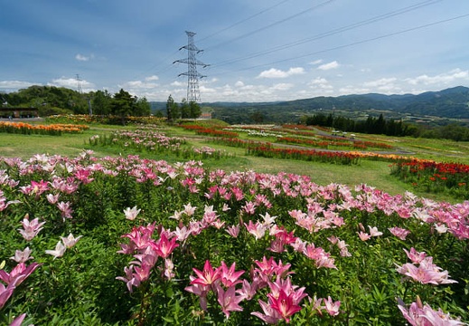 201407281049-DSC07978N6.jpg