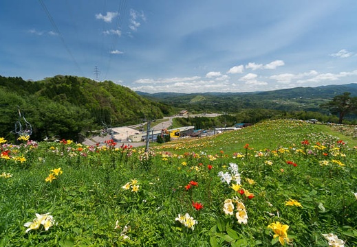 201407281114-DSC08023N6.jpg