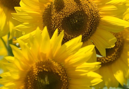 201408061152-DSC00329.jpg