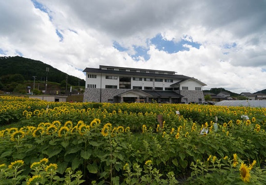 201408061200-DSC08444N6.jpg