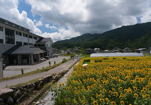 201408061221-DSC08475N6.jpg