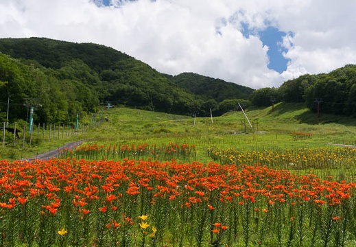 201408061332-DSC08547N6.jpg