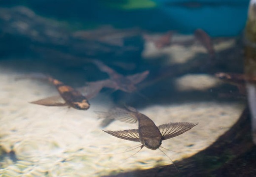 201408071257-DSC04059R10.jpg