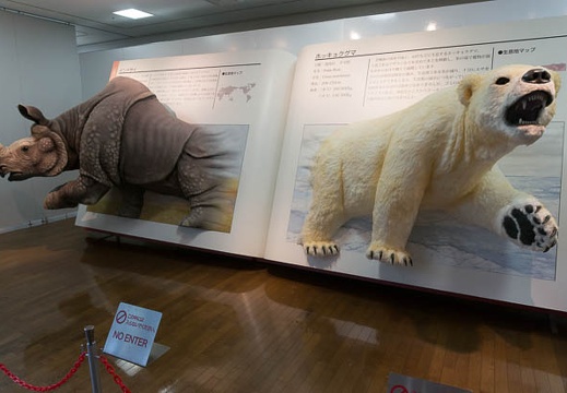 201408081133-DSC08709N6.jpg